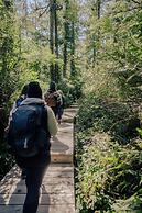 Tofino Resort & Marina
