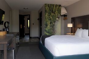 Tofino Resort & Marina