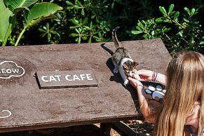 Agapi Beach Resort - Premium All Inclusive