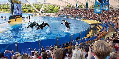 Hotel Adonis Pelinor