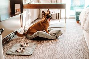 Sheraton Grand Krakow