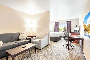 Boarders Inn & Suites by Cobblestone Hotels - Shawano