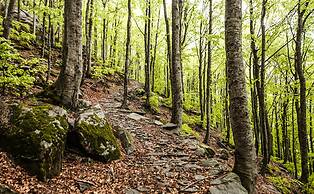 Renaissance Tuscany Il Ciocco Resort & Spa