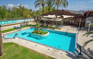 Checkin Camino de Granada