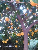 Hotel Casa De Los Naranjos