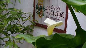 Hotel Casa De Los Naranjos