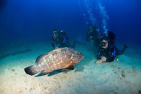 Vila Baleira Porto Santo