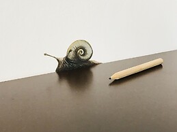 LH Arca Street Art Hotel