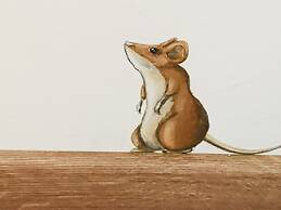 LH Arca Street Art Hotel