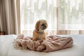 Residence Inn by Marriott Long Island Holtsville