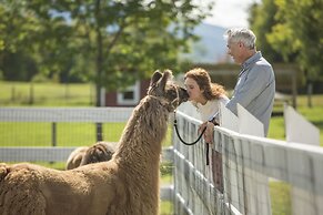 Mountain View Grand Resort & Spa