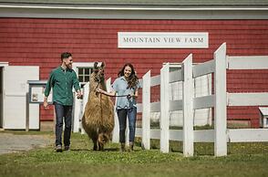 Mountain View Grand Resort & Spa