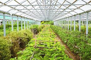 Four Seasons Resort Seychelles at Desroches Island