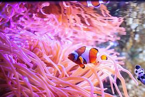 Renaissance Tampa International Plaza Hotel