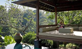The Damai