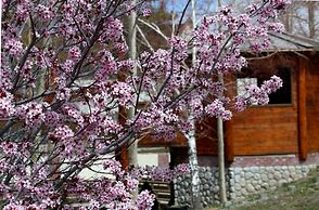 Holiday Inn Resort The Lodge At Big Bear Lake by IHG