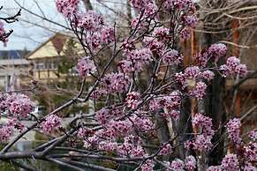 Holiday Inn Resort The Lodge At Big Bear Lake by IHG