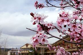 Holiday Inn Resort The Lodge At Big Bear Lake by IHG