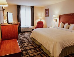 Hampton Inn by Hilton Torreon-Airport Galerias