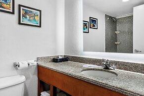 Comfort Inn & Suites Nashville Near Tanger Outlets  I-24 Antioch