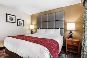 Comfort Inn & Suites Nashville Near Tanger Outlets