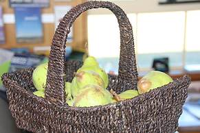 Swansea Cottages & Lodge Suites