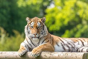 Holiday Inn Express Bedford by IHG