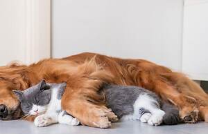 Ramada Resort by Wyndham Bodrum