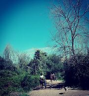 Tenuta Agricola Fonte di Papa
