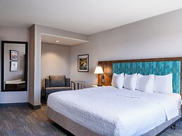 Hampton Inn & Suites Boise-Meridian