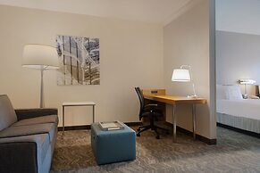 SpringHill Suites by Marriott Newark Liberty International