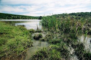 Premier Resort Mpongo Private Game Reserve