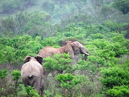 Premier Resort Mpongo Private Game Reserve