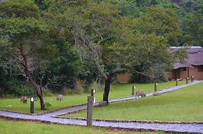 Premier Resort Mpongo Private Game Reserve