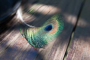 Premier Resort Mpongo Private Game Reserve