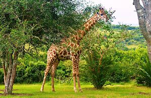 Premier Resort Mpongo Private Game Reserve