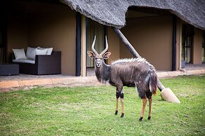 Premier Resort Mpongo Private Game Reserve