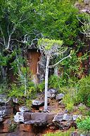 Premier Resort Mpongo Private Game Reserve