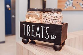 Microtel Inn & Suites by Wyndham Olean/Allegany