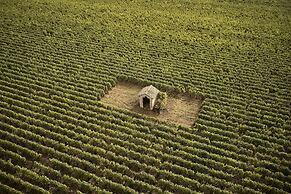 COMO Le Montrachet