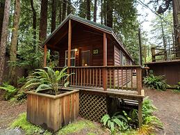 Emerald Forest Cabins