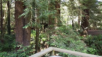 Emerald Forest Cabins