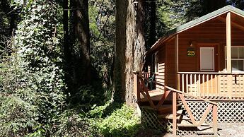 Emerald Forest Cabins