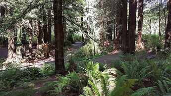Emerald Forest Cabins