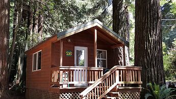 Emerald Forest Cabins