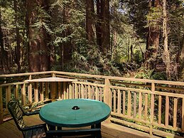 Emerald Forest Cabins