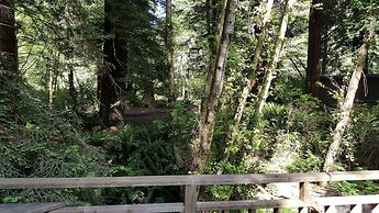 Emerald Forest Cabins