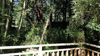 Emerald Forest Cabins