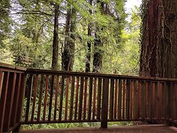 Emerald Forest Cabins