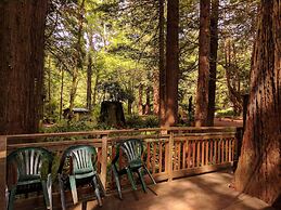 Emerald Forest Cabins